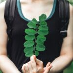 Moringa: Who Else Wants Their Tea Packed Full of Nutrients?