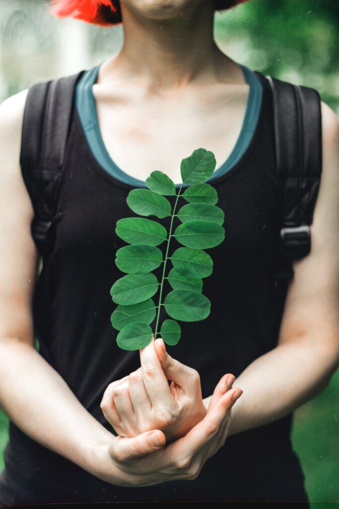 Moringa: Who Else Wants Their Tea Packed Full of Nutrients?