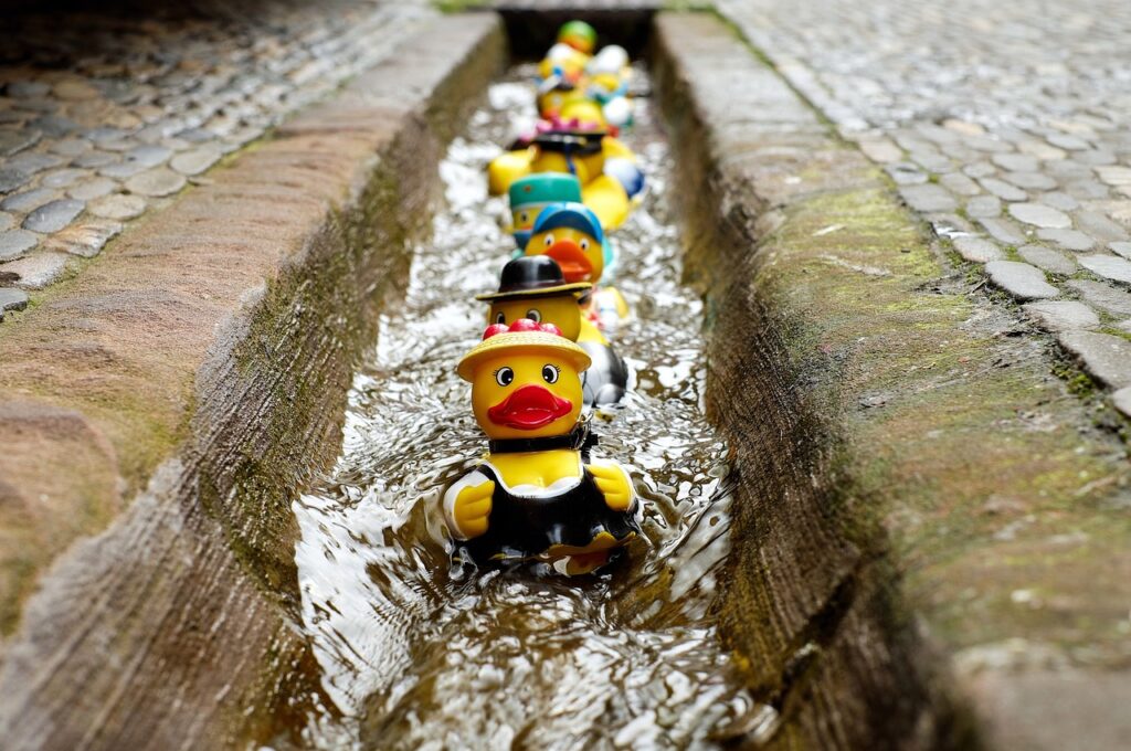 When Life Throws Your Ducks in a Row Off Balance: How to Regain Control