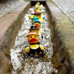 When Life Throws Your Ducks in a Row Off Balance: How to Regain Control